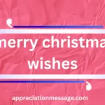 merry-christmas-wishes