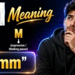 HM Meaning