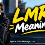 LMR Meaning