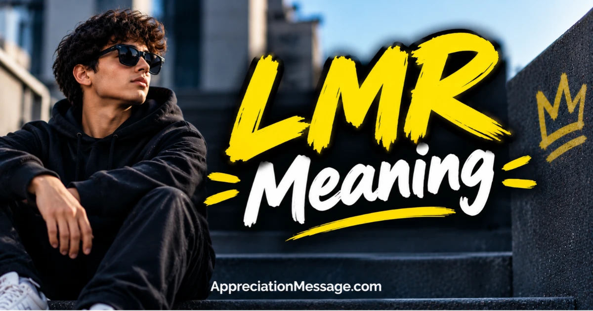 LMR Meaning